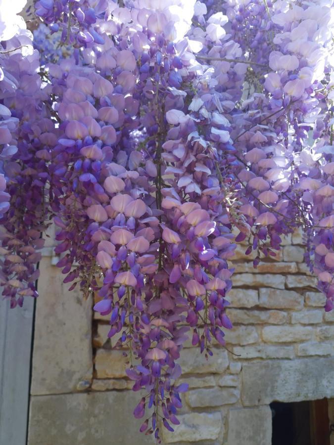 Les Adjots Wisteria Cottage מראה חיצוני תמונה